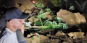 Longsor di Subulussalam-Ace Telan 5 Korban, Tiga dinyatakan Hilang