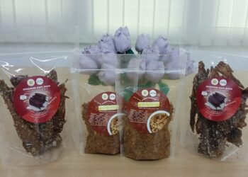 PRSATL Universitas Syiah Kuala Memproduksi Olahan Daging Sapi Aceh