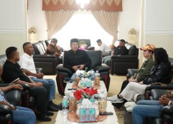 Bupati Haili Yoga Sampaikan Potensi Alam Aceh Tengah ke Hangzhou Chamber of Commerce Indonesia 
