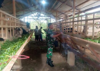 Babinsa komsos dengan peternak kambing di desa binaan