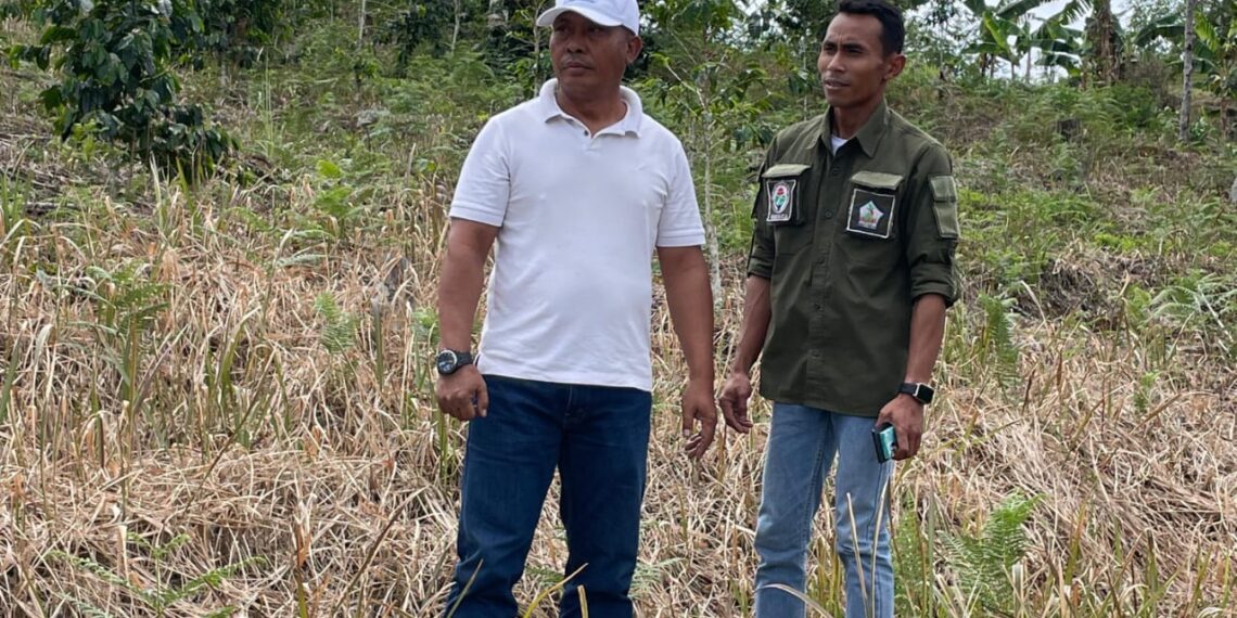 PT Surya Group Siap Branding Tembakau Gayo Takengon