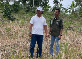 PT Surya Group Siap Branding Tembakau Gayo Takengon