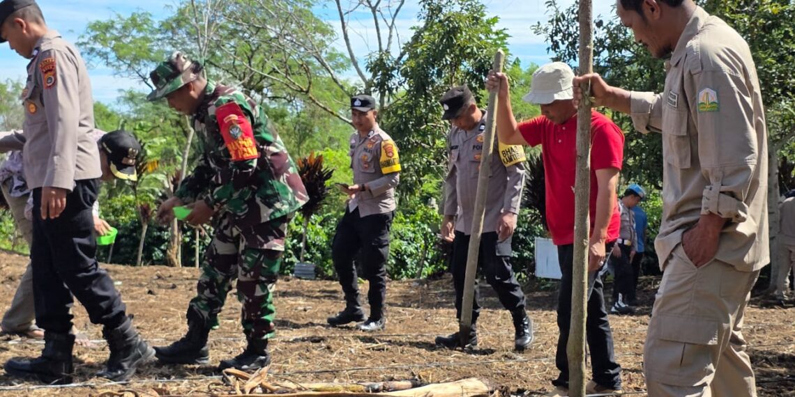 Danpos kute panang bersama TNI Polri kuartal III lakukan penanaman jagung di lahan perhutanan sosial polsek kute panang