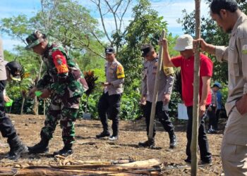 Danpos kute panang bersama TNI Polri kuartal III lakukan penanaman jagung di lahan perhutanan sosial polsek kute panang
