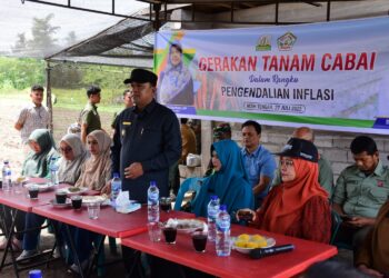 Wakil Bupati Aceh Tengah Hadiri Gerakan Tanam Cabai di Ketol, Perkuat Pengendalian Inflasi Daerah