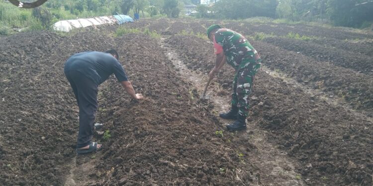 Modal cangkul babinsa 02 / Bebesen siapkan lahan pertanian bersama warga