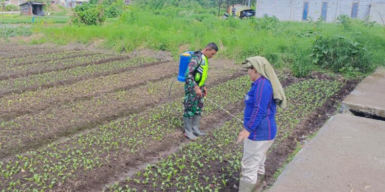 Wujud kepedulian Babinsa Koramil 04/ bintang ke masyarakat melalui kegiatan komsos