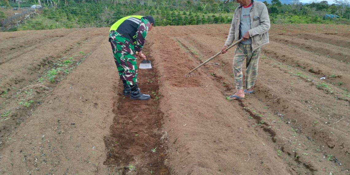 Babinsa memberi motifasi ketahanan pangan di Desa Binaan