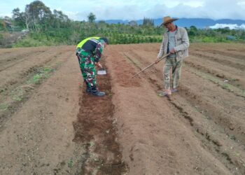 Babinsa memberi motifasi ketahanan pangan di Desa Binaan