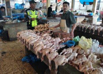 babinsa lakukan monitoring pantau stabilitas harga sembako di pasar paya ilang kabupaten Aceh Tengah 