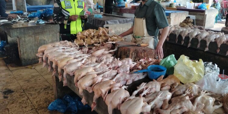 babinsa lakukan monitoring pantau stabilitas harga sembako di pasar paya ilang kabupaten Aceh Tengah 