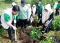 Bupati Aceh Tengah Launching Waqaf Produktif : Tanam 1.500 Bibit Kopi di Lahan IAIN Takengon