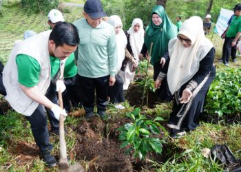 Bupati Aceh Tengah Launching Waqaf Produktif : Tanam 1.500 Bibit Kopi di Lahan IAIN Takengon