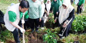 Bupati Aceh Tengah Launching Waqaf Produktif : Tanam 1.500 Bibit Kopi di Lahan IAIN Takengon