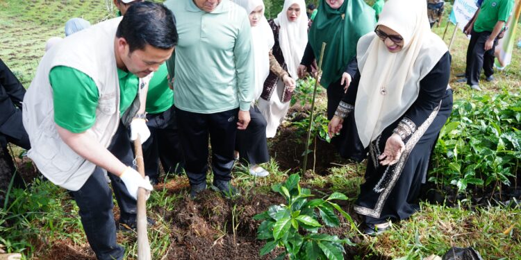 Bupati Aceh Tengah Launching Waqaf Produktif : Tanam 1.500 Bibit Kopi di Lahan IAIN Takengon